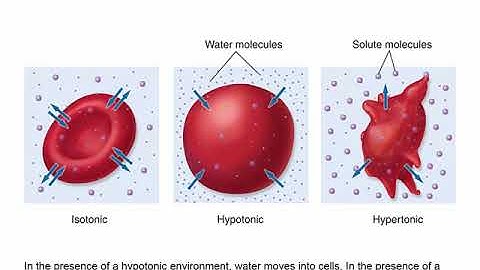 chapter 8 human body systems