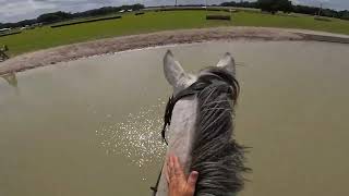 GoPro: Dobby (Starter | 2024 Majestic Oaks April Schooling Show) by Elisa Wallace Eventing 8,646 views 1 month ago 7 minutes, 57 seconds