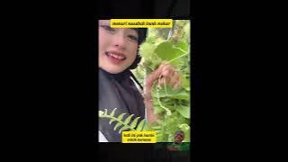 pegawai bank mekar sedang mencari pak kumis sang nasabah