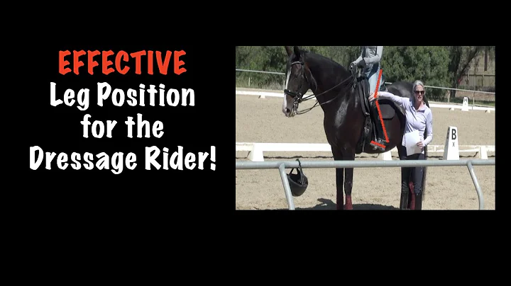 Effective Leg Position for the Dressage Rider with...