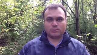 14 Утеплять дерево пенолистиролом или пенопластом нельзя 14 Утеплять дерево пенолистиролом или пенопластом нельзя