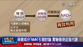 實驗：「NMN」可修復DNA 提高血中Q10含量