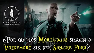 ¿Es Voldemort un sangre pura?