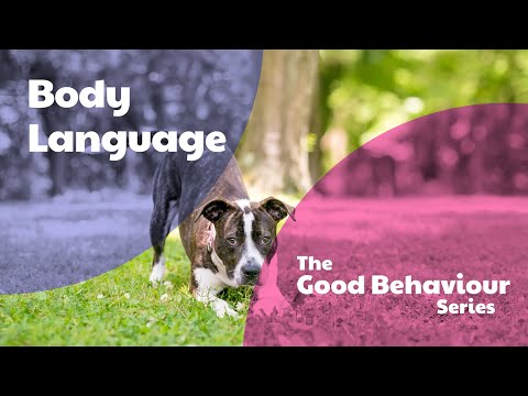 Body Language - The Good Behaviour Series by Purely Pets
