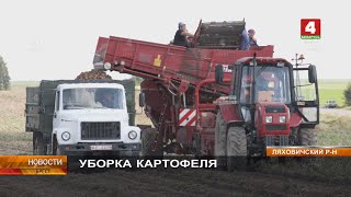 УБОРКА КАРТОФЕЛЯ