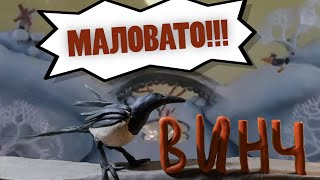 МАЛОВАТО!  (домашняя сорока Винч) by Владислав И. 23,405 views 3 years ago 2 minutes, 41 seconds