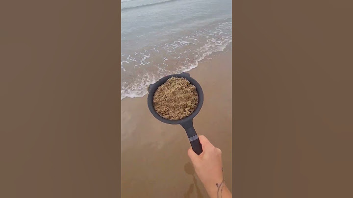 Altın kum plajında altın buldum