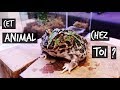 TUTO MA PREMIERE GRENOUILLE !! -TOOPET