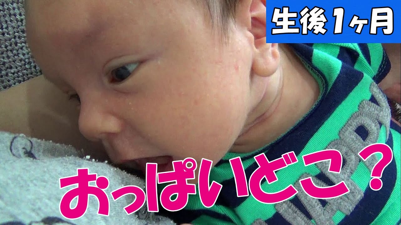 ハーフ赤ちゃんのおっぱい探し Youtube