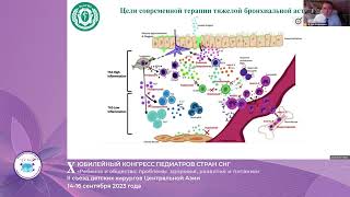 Векторы персонификации фармакотерапии аллергических заболеваний у детей (Шишиморов И.Н.)