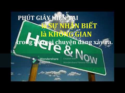 Phút Giây Hiện Tại Là Sự Nhận Biết Là Không Gian Trong Đó Mọi Chuyện Đang Xảy Ra - Eckhart Tolle