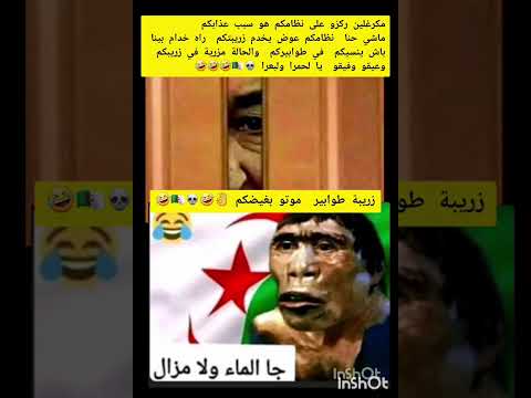 مزال لغيط في زريبة الطوابير