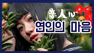 [恋人心]동양풍 신비한 분위기 중국노래'연인의 마음'(가사,병음,한글자막)