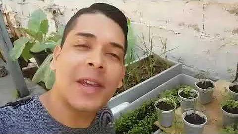 O que altera o pH do solo?