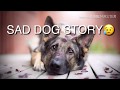 Dog sad story (tagalog) walang iyakan