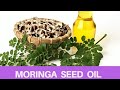 How to Extract Moringa Seed Oil at home