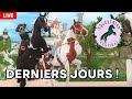 Rejoinsnous pour les derniers jours du festival questre sur star stable  