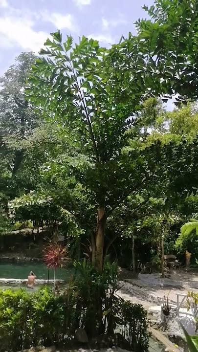 #beautiful place