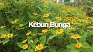 CINEMATIC VIDEO KEBUN BUNGA