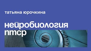 видео: Нейробиология ПТСР // Татьяна Юрочкина картинка: Нейробиология ПТСР // Татьяна Юрочкина
