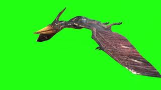 Pterodactyl Fly #2 | Green Screen 3D Animation Video