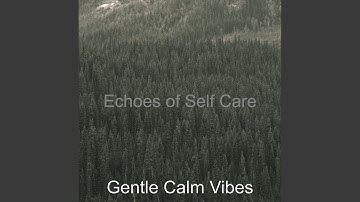 Vivacious Backdrops for Quiet Time