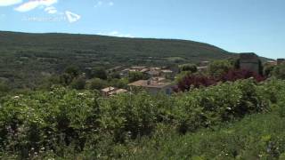 Video Limans