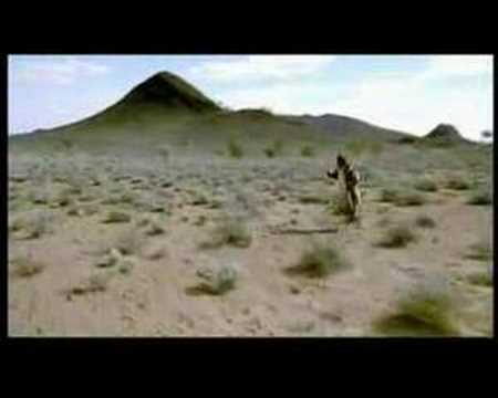 Rabbit Proof Fence - what is it about?