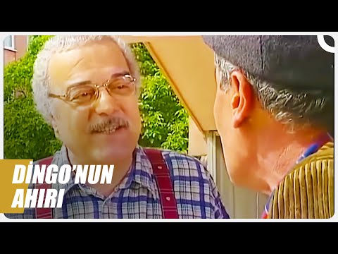 Apartmana Giren Çıkan Belli Değil! | Sabri Bey En Komik Sahneler