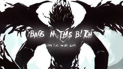 bags in this btch - marko glass (full leak)