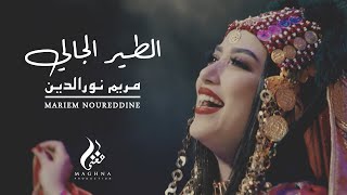 Mariem Noureddine ★ TIR EL JELI | الطير الجالي 