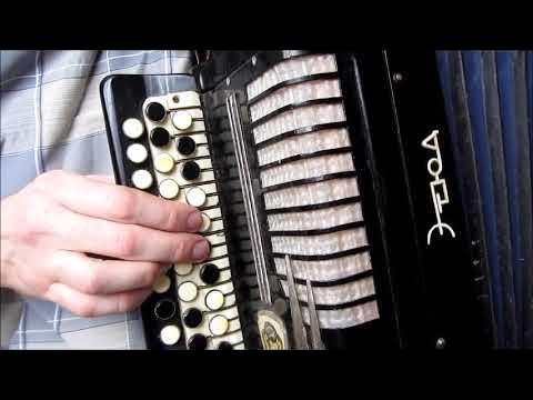 Берега ноты для баяна. Песня берега на баяне. Баян на берегу чу. Песня берега на баяне. Старый клён на баяне.