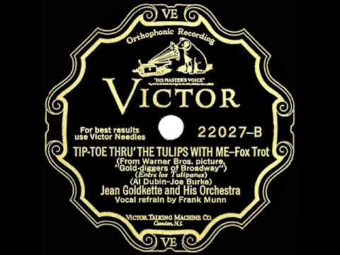 1929-jean-goldkette---tip-toe-thru-the-tulips-with-me-(frank-munn,-vocal)