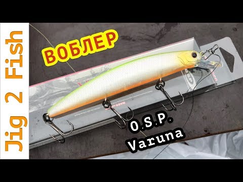 Обзор воблера O.S.P. Varuna, хитрости применения