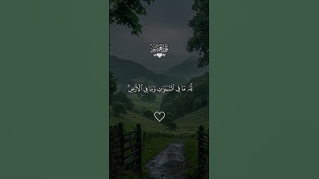 ايه الكرسي احمد العجمي #قران #احمد_العجمي #quran #قران_كريم #تلاوة_خاشعة #alaa_mustafa_1
