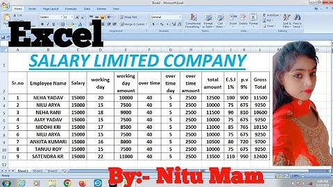 Salary Sheet Limited Company For Microsoft excel Advance Formula