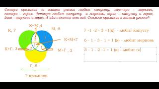 Круги Эйлера.  Урок 3.