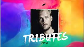 Avicii Mashup & Mixes Tribute