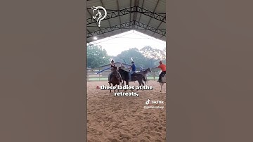 Quick Tips On Desensitizing Your Horse With A Pool Noodle! | The Horse Guru-Michael Gascon