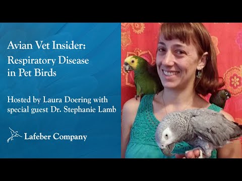 تصویری: آیا طوطی ها ناقل بیماری هستند؟