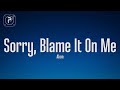 Akon - Sorry, Blame It On Me (Lyrics)