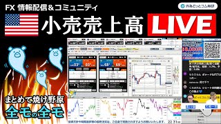 FX実践解説、相場分析＆リアルトレード、ドル円などの注目材料（2024年12月17日)