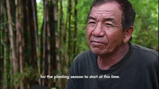 Hutan Pangan di Tanah Harapan