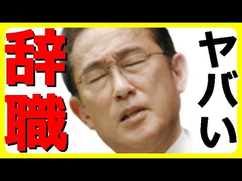 【驚愕】岸田総理の長男・岸田翔太郎秘書官、辞任の裏側と退職金・ボーナスの真相