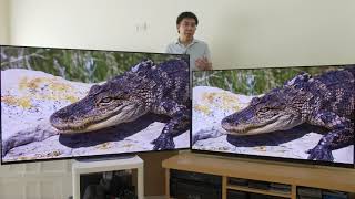 LG E9 vs Sony AG9 (A9G) 2019 OLED TV Comparison