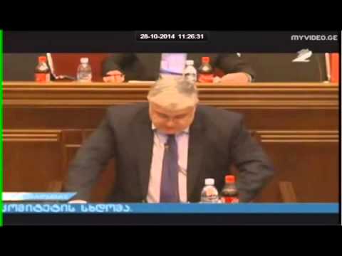 დავით ონოფრიშვილის გამოსვლა გარემოს დაცვისა და ბუნებრივი რესურსების კომიტეტის სხდომაზე