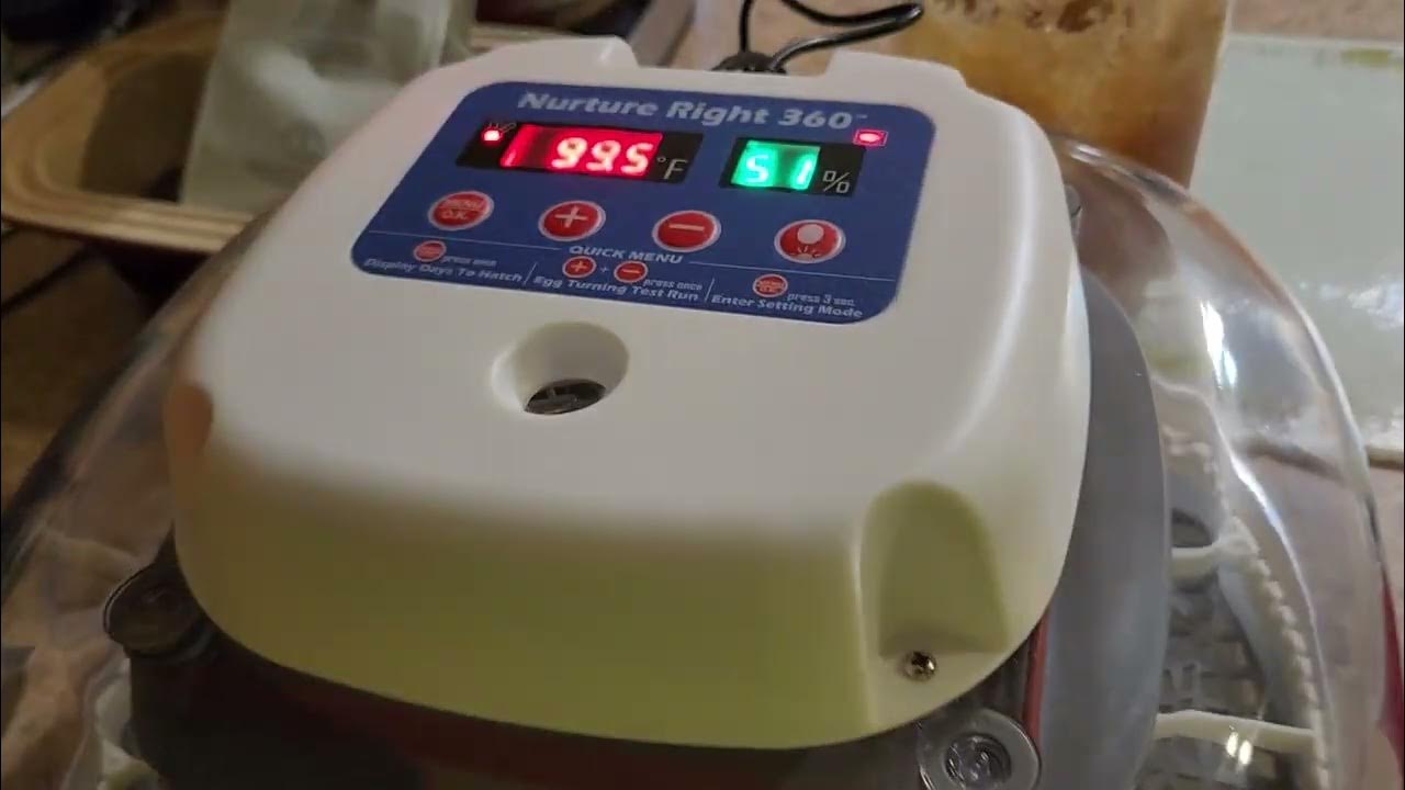 Testing the Nurture Right 360 Incubator - YouTube