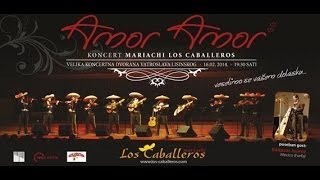 Los Caballeros - Amor, Amor - snimka koncerta