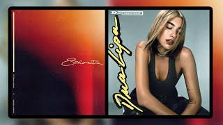 Dua Lipa, Shawn Mendes & Camila Cabello - Dont Start Now / Señorita (Mashup) ?️‍?