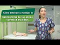 Cómo detectar y manejar la obstrucción de vía aérea superior en niños